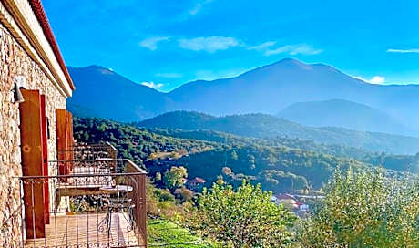 Junior Suite with Mountain View