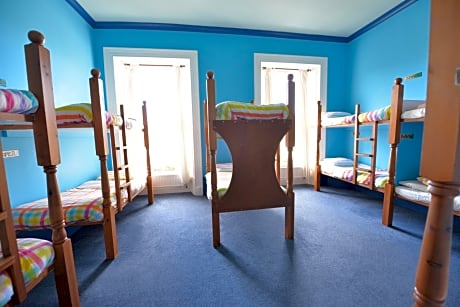 Bunk Bed in Mixed Dormitory Room