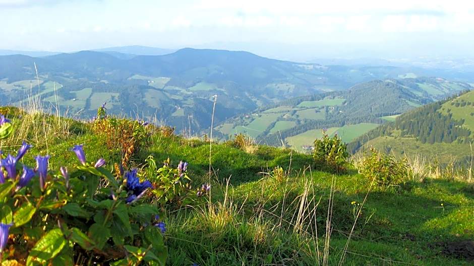 Gasthof Unterberger