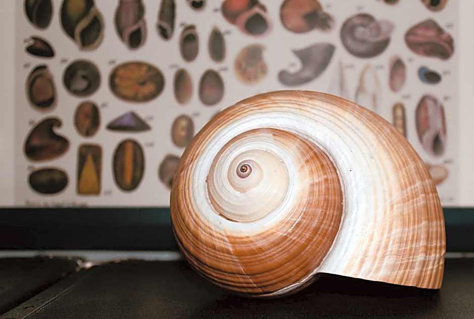 Bellevue Gastgeberei