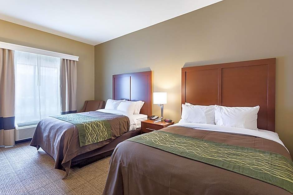 Comfort Inn & Suites Zachary