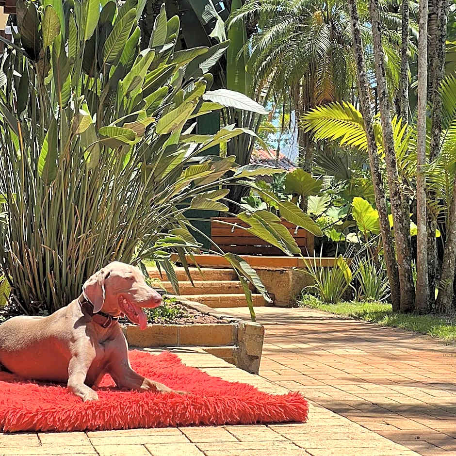 Hotel Casa Paradiso Guarujá