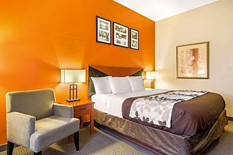 1 King Bed Nonsmoking