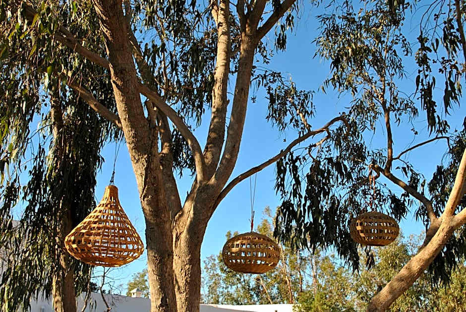 Maison Sidi et Lalla