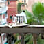 Hotel Villa Anita