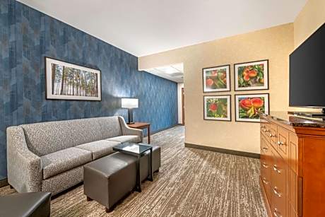 Queen Suite with Sofa Bed - Accessible, Tub