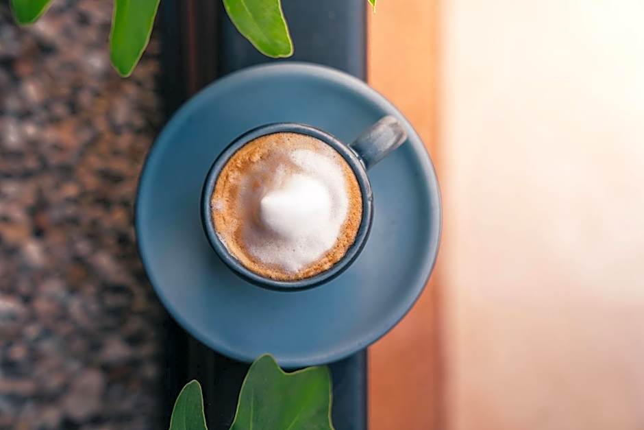 Destino Mio Mayan Jungle Retreat