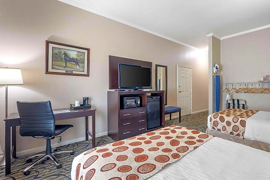 Best Western Spring Hill Inn & Suites