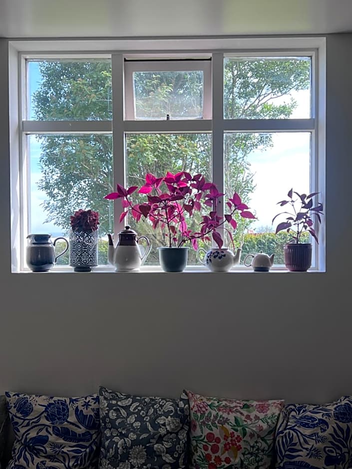 Skyrhusid Guesthouse