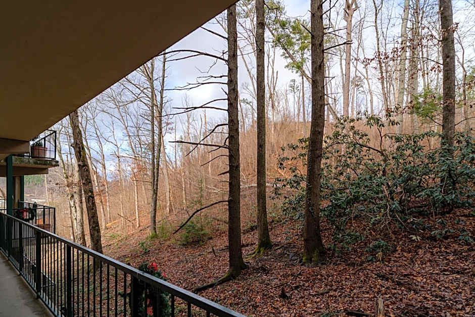 Condo in Gatlinburg very peaceful - 10 min Walk to Main Strip