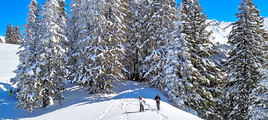 Chalet Arpitan - rentals