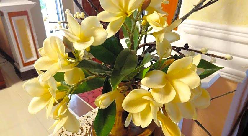 The Executive Villa Inn & Suites