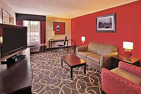 One-Bedroom King Suite - Non-Smoking