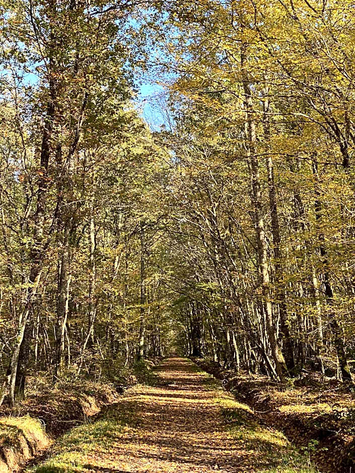 GSand Le Clos du May