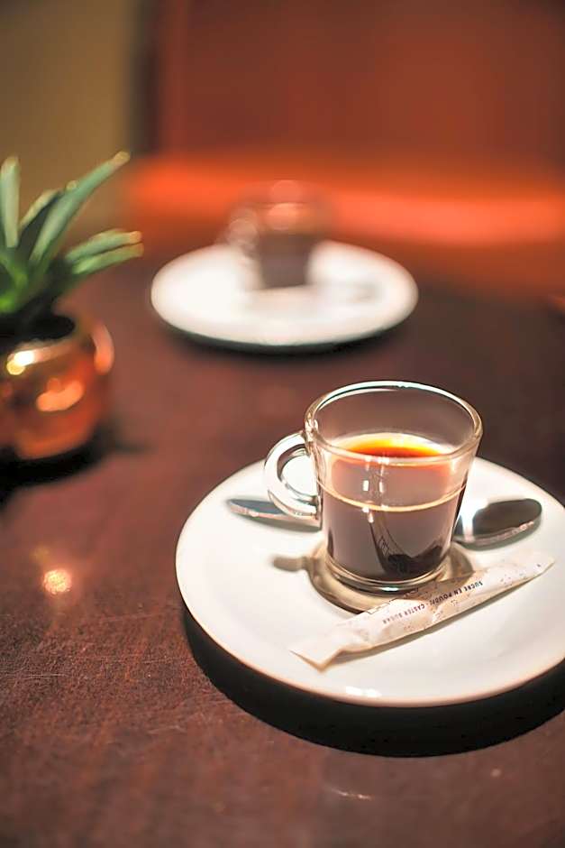 Kyriad Prestige Mulhouse - Basel