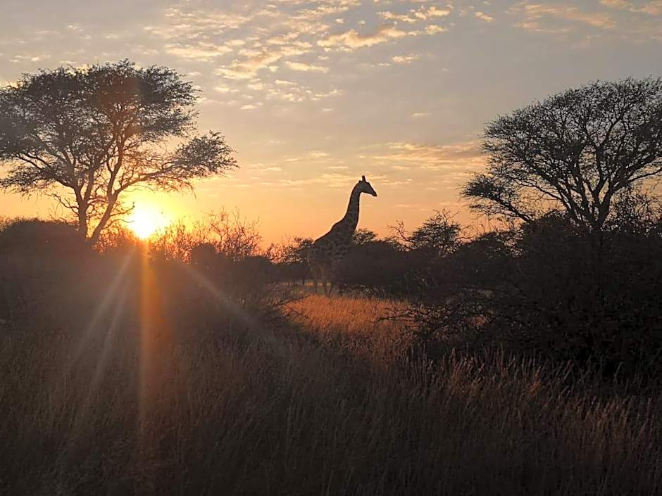 Gamagara Africa Private Nature Reserve