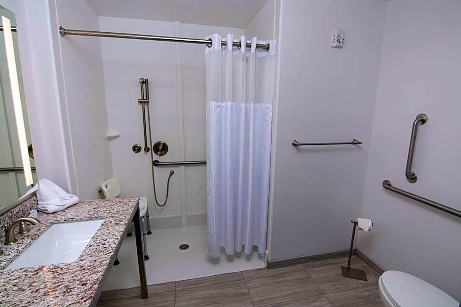 Hilton Garden Inn Tampa Suncoast Parkway