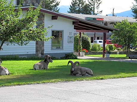 Mountain Springs Motel
