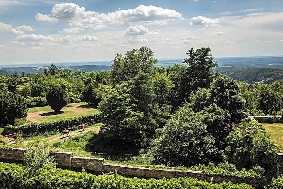 Burg Bernstein