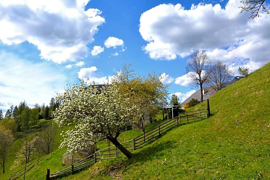 Frühstückspension Ochnerbauer