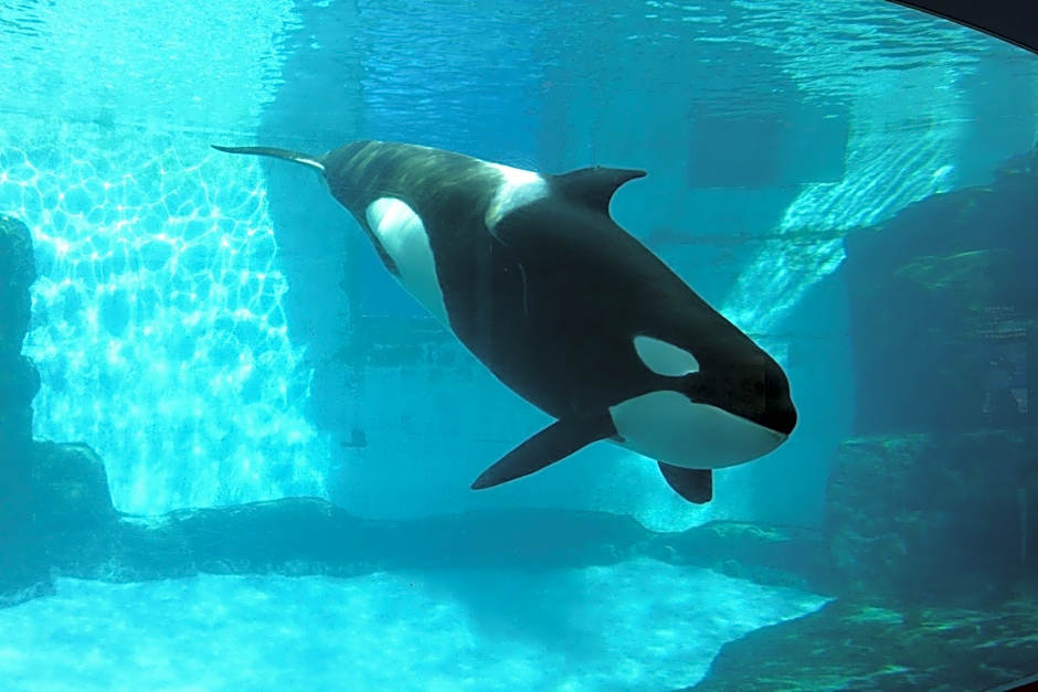 Hotel LALA minato - Adult Only