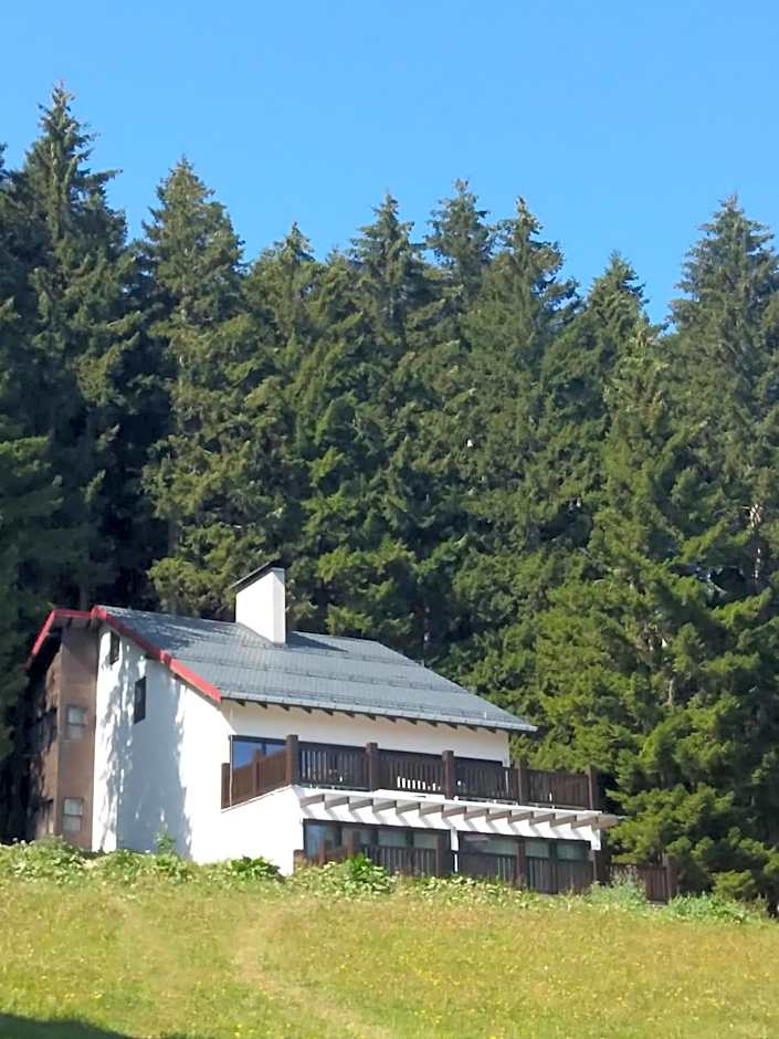 Zdjęcie 1 z 9 — Chalet