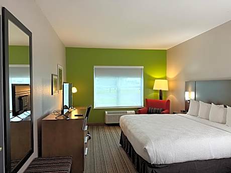 Studio King Suite - Non-Smoking