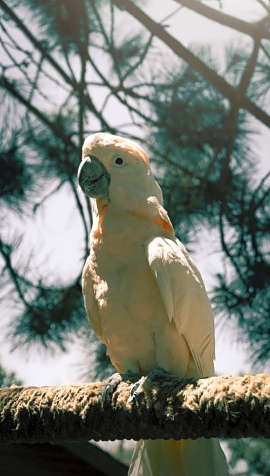 Polonezköy Country Club