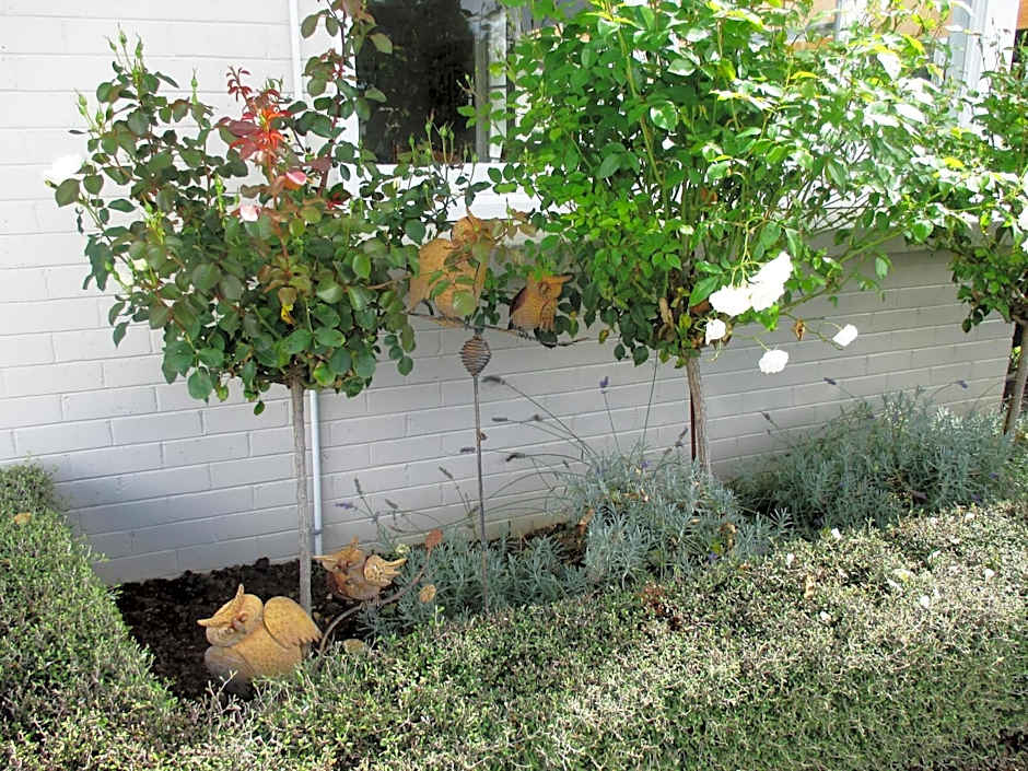 FatOwl Motel, Bar & Eatery