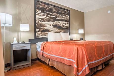 King Room - Disability Access - Non-Smoking