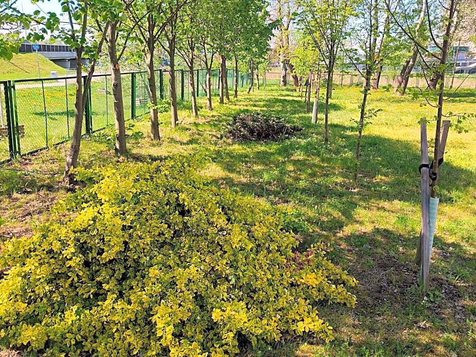 ibis budget Wroclaw Stadion