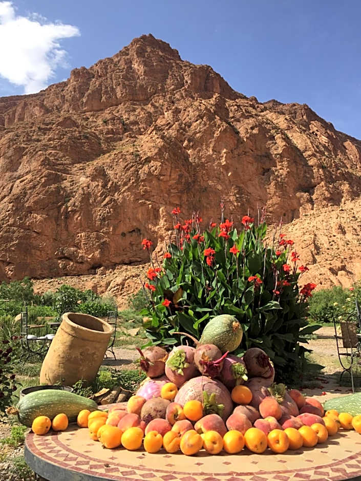 Auberge Le Festival Todra Gorge