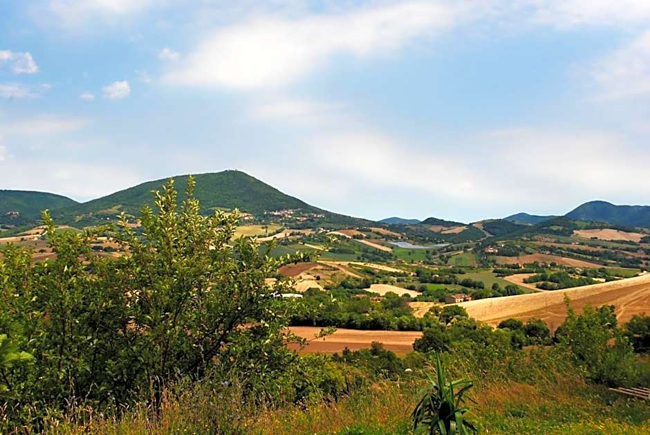 Agriturismo B&B La Cerasa