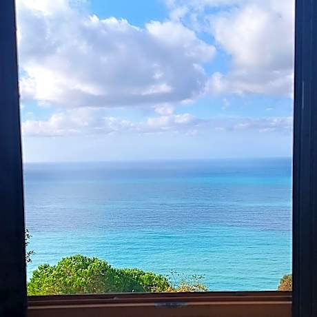 Single Bed in Mixed Dormitory Room