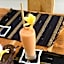 Amed Romance House