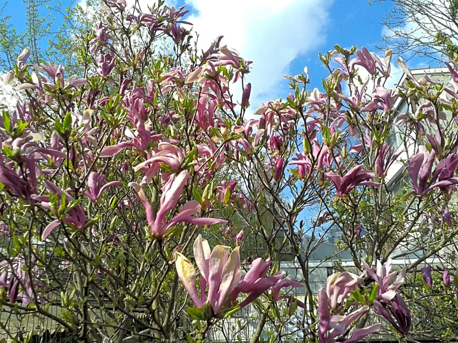 Bed & Breakfast Maria