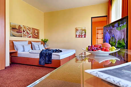 Junior Suite with air conditioning