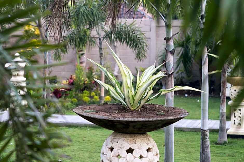 The Palm Grove Villas Lembongan