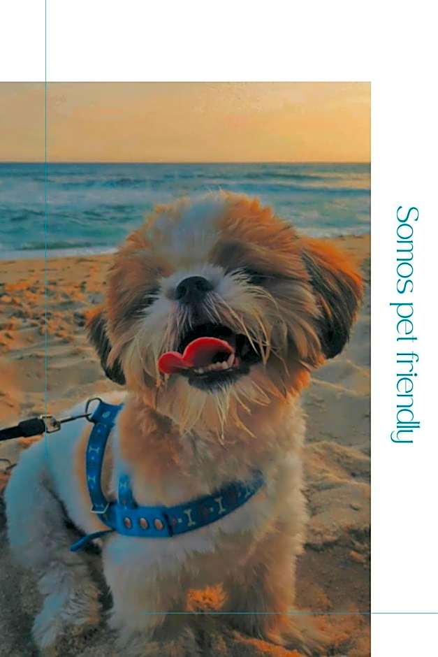 Apartamento Com Piscina e Sacada Gourmet- Aviação#