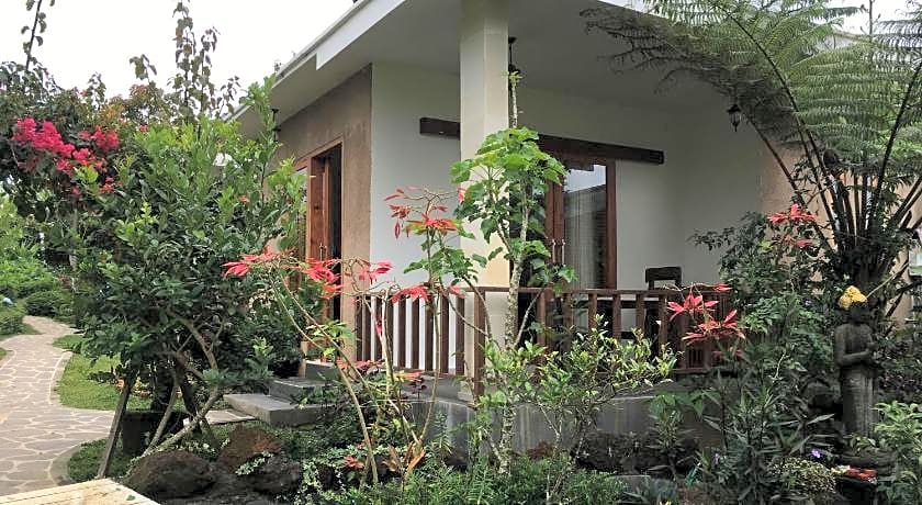Terrasse du lac Tamblingan