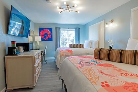 Single Room - Disability Access