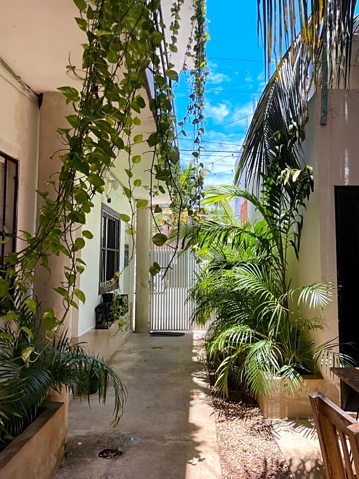 Anana Coliving