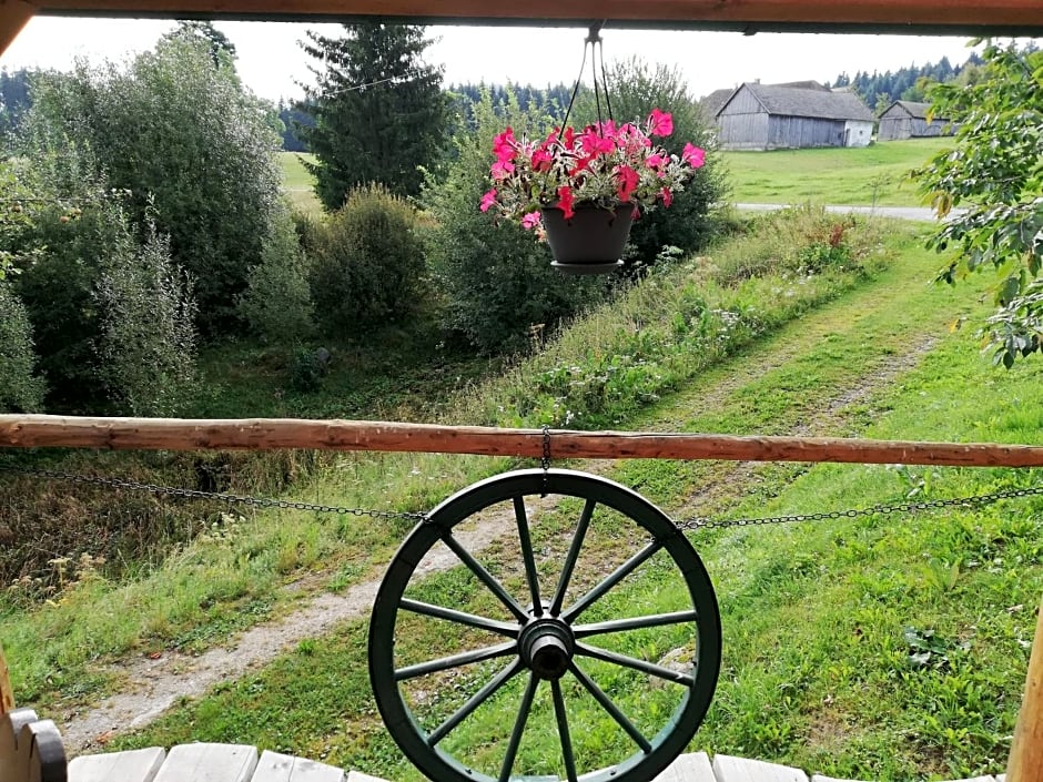 Ferienhaus FRIEDLHOF