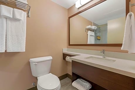 Accessible - 1 King, Mobility Accessible, Walk In Shower, Annex Rooms, Mini Fridge, Wi-Fi, Non-Smoking, Full Breakfast