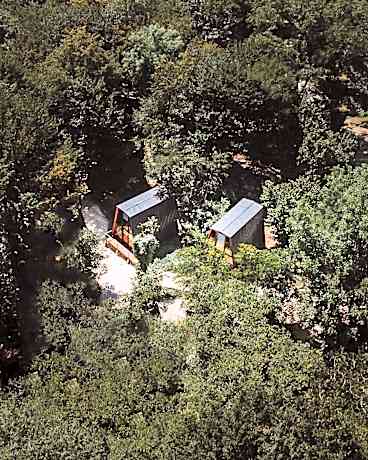 Eco Village In The Forest