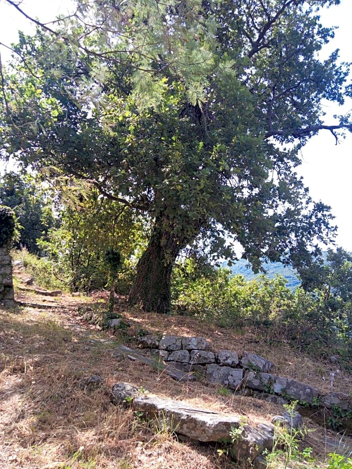 L'Antica Quercia B&B