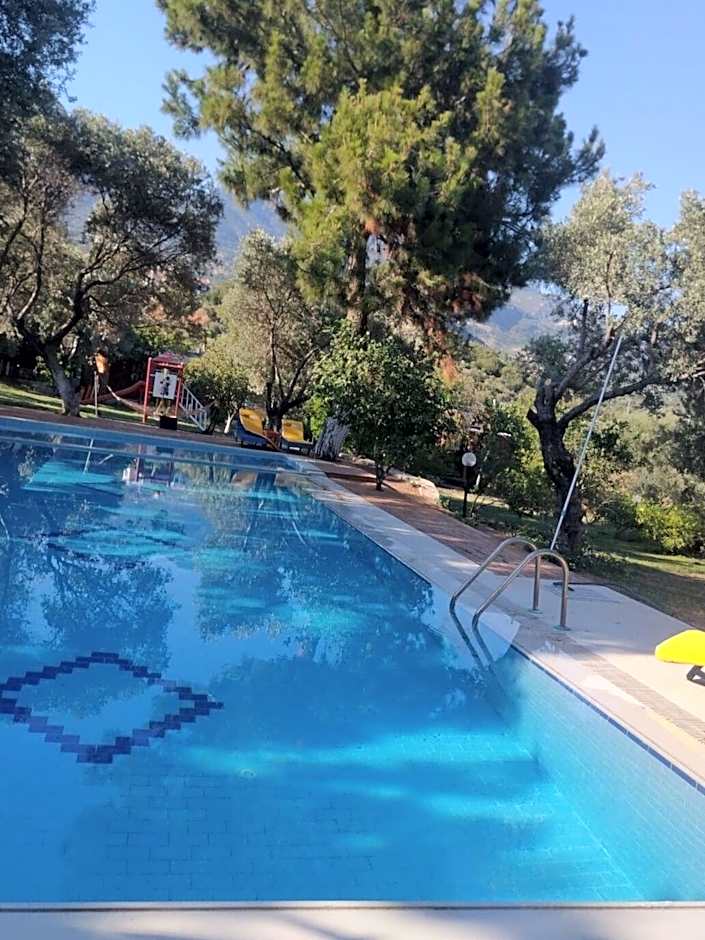 Bahar Bahce Datca