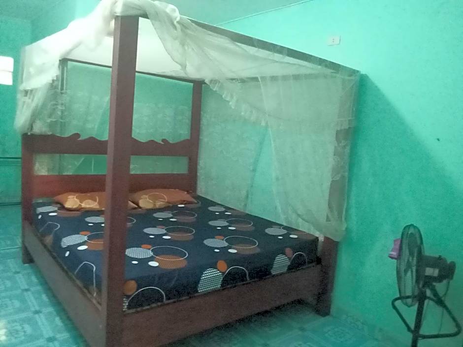 Jungle treking & Jungle Tour if you want to stay here,you must book treking only with us