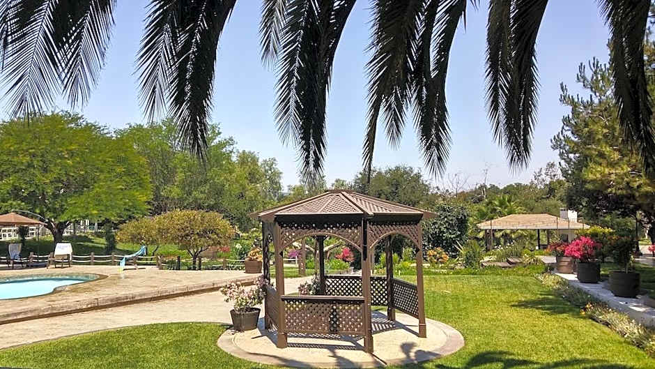 Quinta Arratz