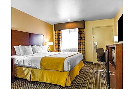 1 King Bed | Mob Acc RI Shwr Nsmk Micfridg